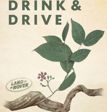 Don't Drink & Drive - Ayahuasca